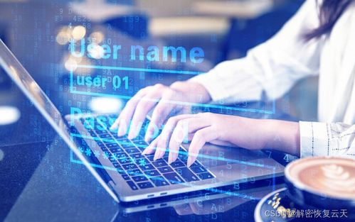 应对勒索病毒攻击 企业用友NC软件nchome配置文件的恢复与系统服务重建指南